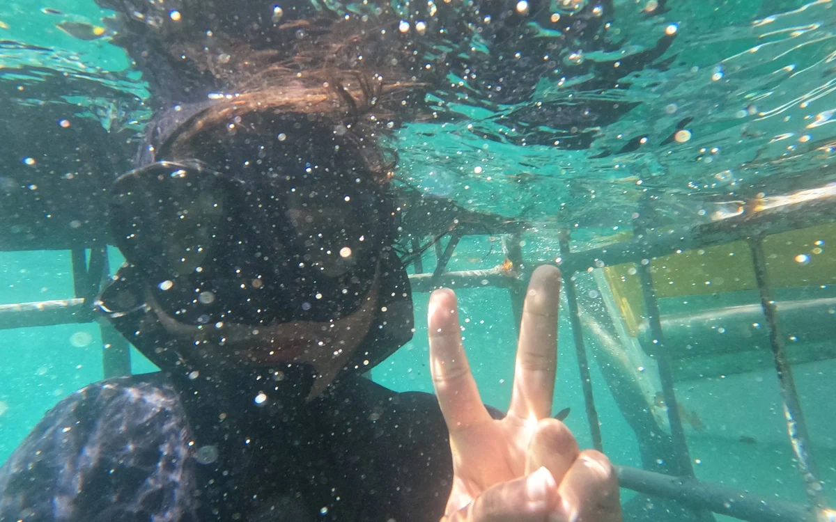 A diver inside the floating cage at the surface, turquoise water through the bars