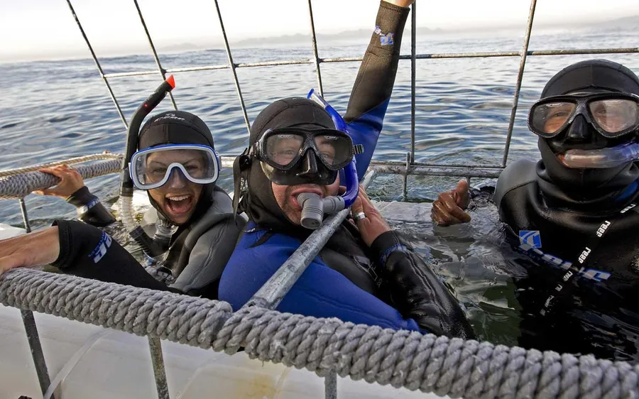 From Cape Town: Gans Bay Shark Cage Diving